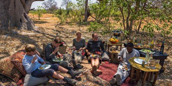 Picknick Familienreise Botswana Machaba