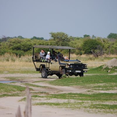 Fly-In Botswana Urlaub | Safari | Destination Afrika