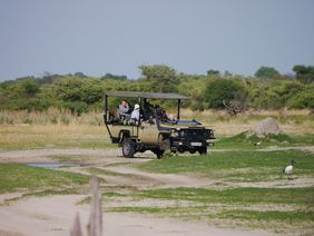 Fly-In Botswana Urlaub | Safari | Destination Afrika