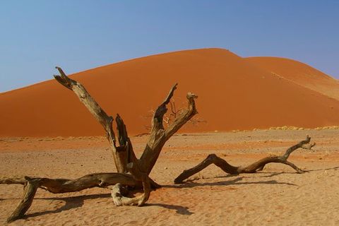 Namibia Sossusvlei Dune 45 Big Daddy Dünen
