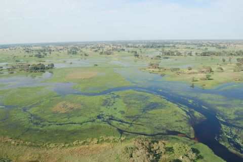 Botswana Okavango Delta Naturparadies  Mokoro