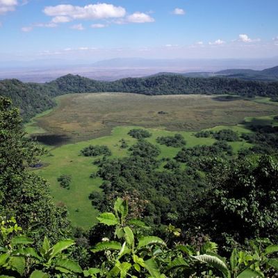 Tansania Safari Ngorongoro Krater | Destination Afrika